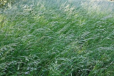 官方保证：《量子破碎》将重返Xbox Game Pass